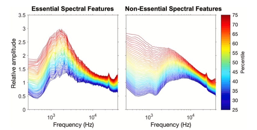 Spatial Soundscape