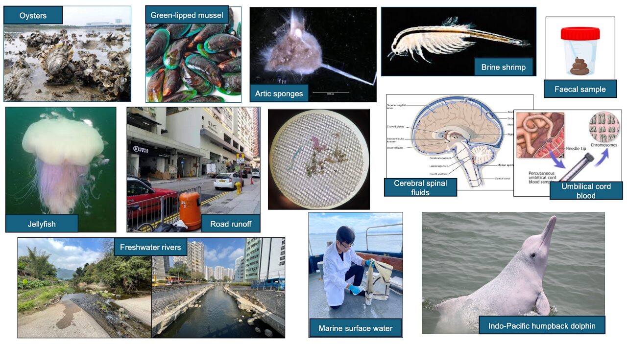 microplastic-studiess